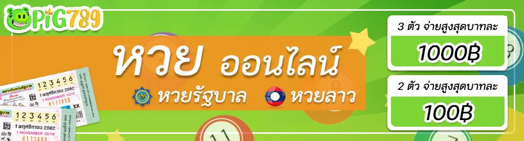 pig789-huayonline